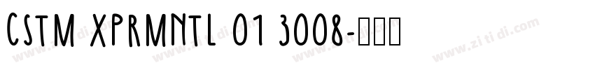 CSTM XPRMNTL 01 3008字体转换